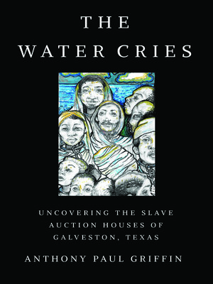 cover image of The Water Cries